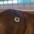 Assisi Loop 2.0 20cm tPEMF Therapy